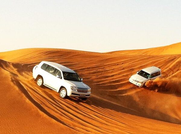 Dubai Desert Safari Tour Private
